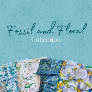 Fossil & Floral Collection